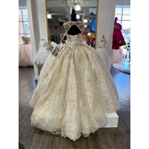 89246 Quinceanera dress by Vizacaya Crystal Beaded, Metallic Embroidery on a Tul - Picture 4 of 8